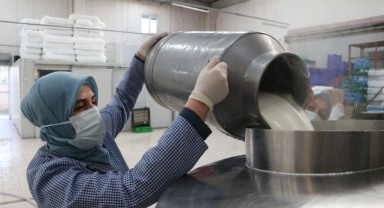 Kadınlar her gün 7 ton sütü lezzete dönüştürüyor