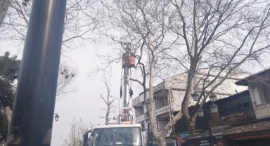 Kafeler sokağındaki budama vatandaşları rahatsız etti