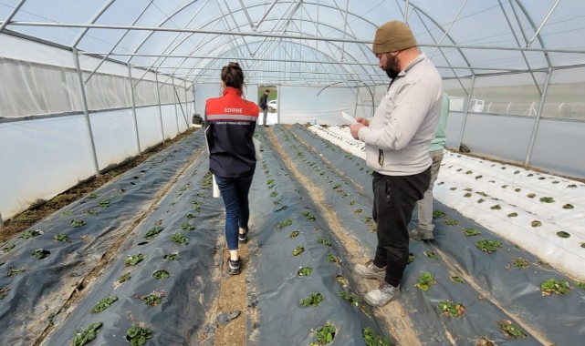 Kapalı ortam üretimi mercek altında