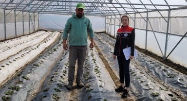 Kapalı ortam üretimi mercek altında