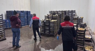 Kuzucu’da tarım denetimi