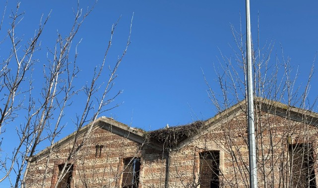 Leylekler geldi, Edirne’de bahar başladı