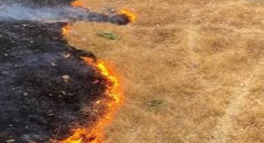 Ormanlar ve sulak alanlara yakın yerlerde anız yakmanın cezası 5 kat artırıldı