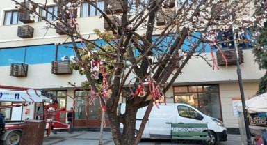 Saraçlar Caddesi’ndeki ağaca marteniçka astılar