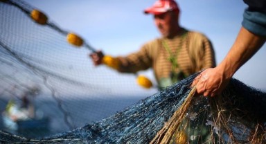 Sazan ve yayın avına 15 Haziran’a kadar yasak