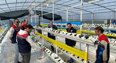 Topraksız üretim modeli yaygınlaşıyor