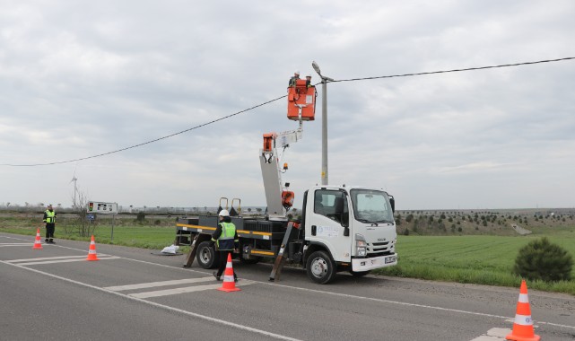 Trakya'da leylekler için elektrik direklerine 1000 platform kuruldu