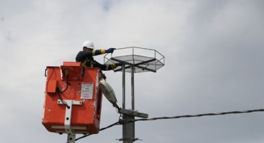 Trakya'da leylekler için elektrik direklerine 1000 platform kuruldu