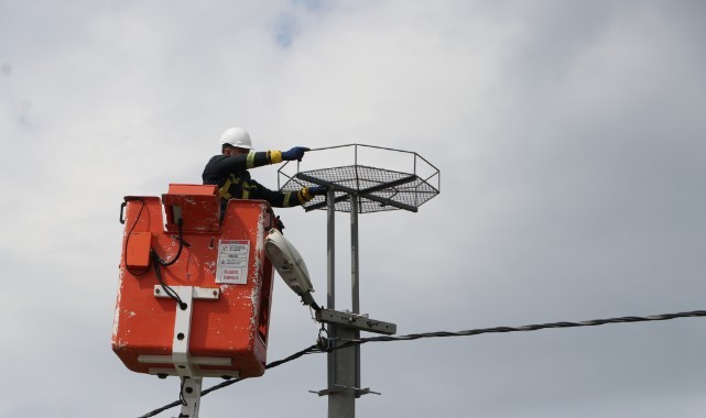 Trakya'da leylekler için elektrik direklerine 1000 platform kuruldu