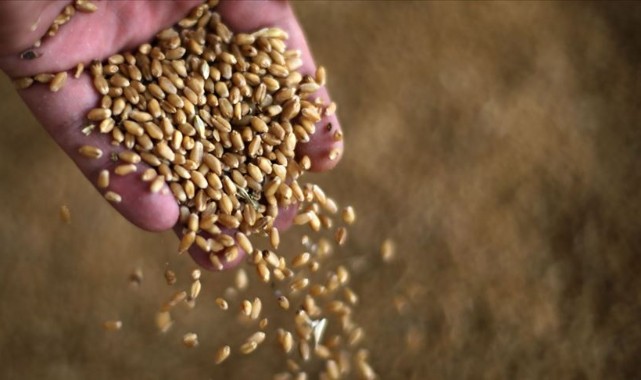 Uzunköprü’de yağışlar üreticinin yüzünü güldürdü