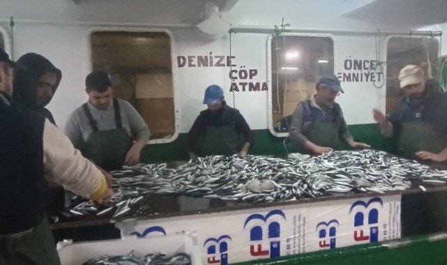 6 ton hamsi ve sardalya yakalandı
