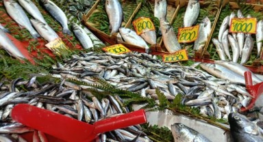 Av yasağıyla birlikte tezgahlardaki balık çeşitleri değişecek