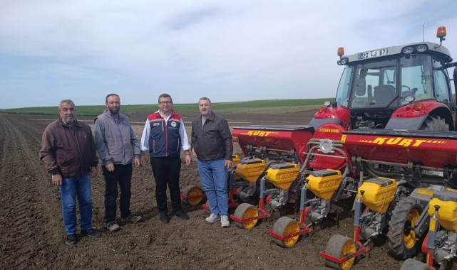 Ayçiçeğinde doğru ekim zamanı için denemeler yapılıyor