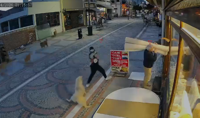 Başıboş köpeğin saldırdığı genç kolundan yaralandı