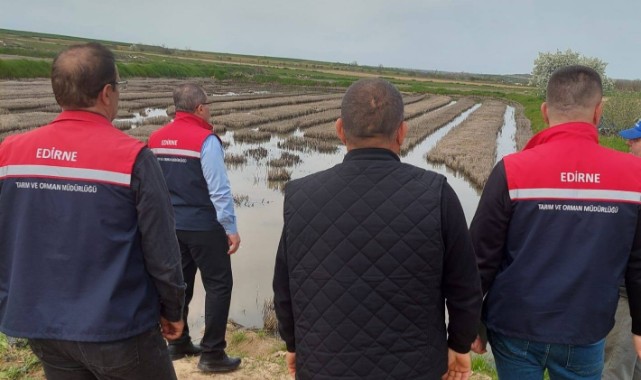 Çeltik üretimi için Havsa’da kritik denetimler