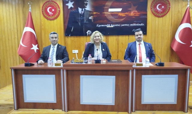 Çiğdem Gegeoğlu yeniden İl Genel Meclisi Başkanı seçildi