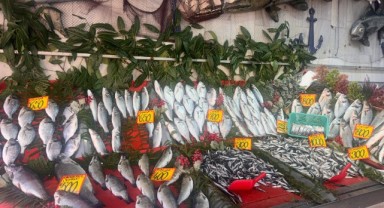 Edirne'de balık fiyatları