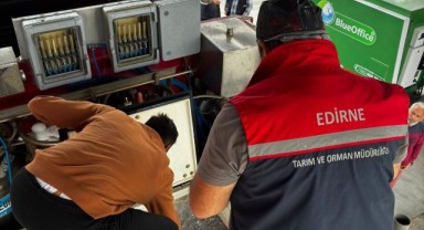 Edirne’de üretilen yavru levrekler ihraç ediliyor