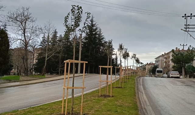 Eren, “Parça parça peyzaj değil, bütüncül yeşil ağ şart”