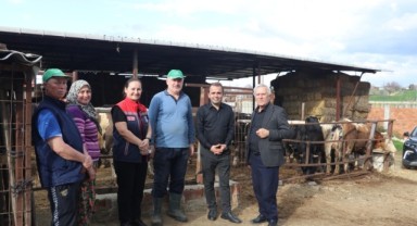 Hayvancılık işletmesine inceleme