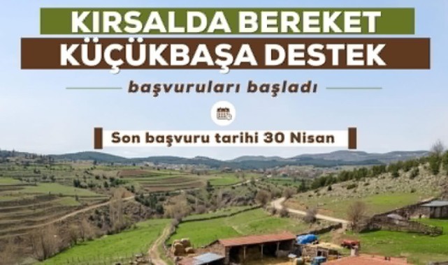 Hayvancılıkta yeni dönem: Faizsiz kredi ve destek