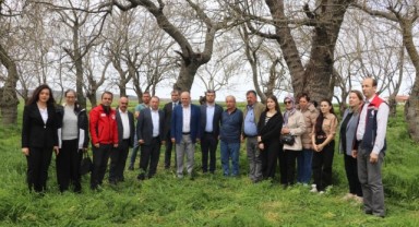 İpek böcekçiliği yeniden canlanıyor