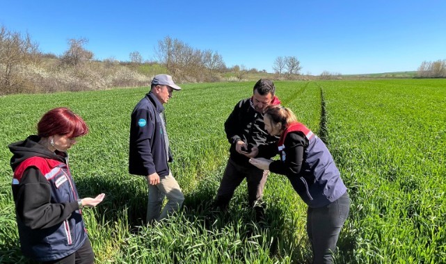 İpsala’da süne kışlak kontrolleri tamamlandı
