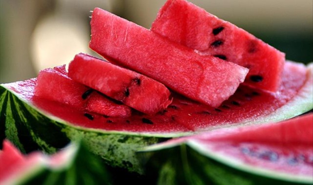 Meriç, İpsala ve Merkez’de karpuz üreticisine TAKE desteği