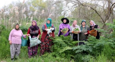Pomakların bahar geleneği 
