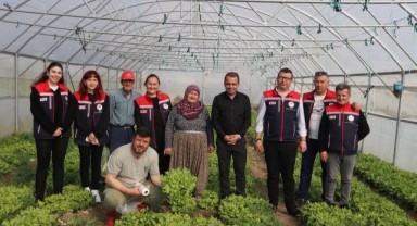 Sera yatırımıyla tarımsal verimlilik yükseliyor