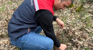 Süneye karşı sahada kapsamlı çalışma başlatıldı