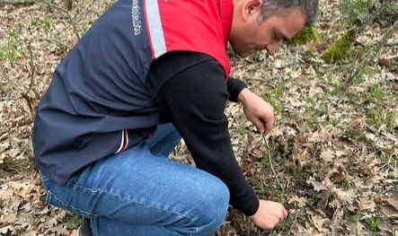 Süneye karşı sahada kapsamlı çalışma başlatıldı