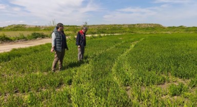 Tarım arazilerinde hasar tespit çalışmaları tamamlandı