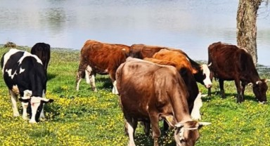 Tarım Kredi’den Trakya’ya dev yatırım