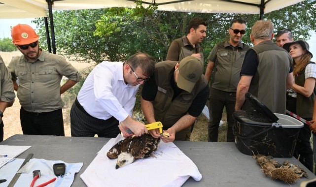 Trakya'da 500 leylek ve 100 şah kartalı halkalanacak