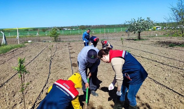 Yerli tohumlar üreticiyle buluştu