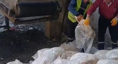 1200 kilogram sağlıksız sakatat ele geçirildi