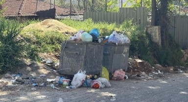 Bu sokakta çöpler alınmıyor mu?