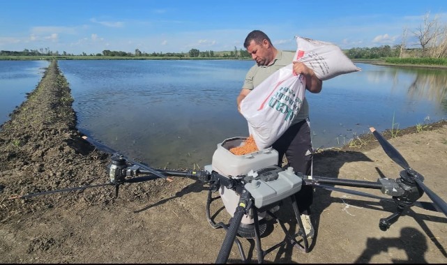 Çeltik ekimi dronla gerçekleştiriliyor
