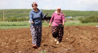 Çiftçi kadınlar üretimin yükünü omuzluyor