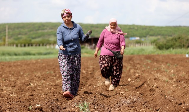 Çiftçi kadınlar üretimin yükünü omuzluyor