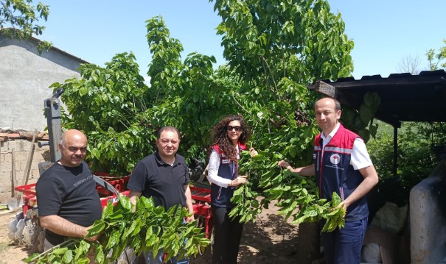 Edirne’de ipek böcekçiliği yeniden hayat buluyor