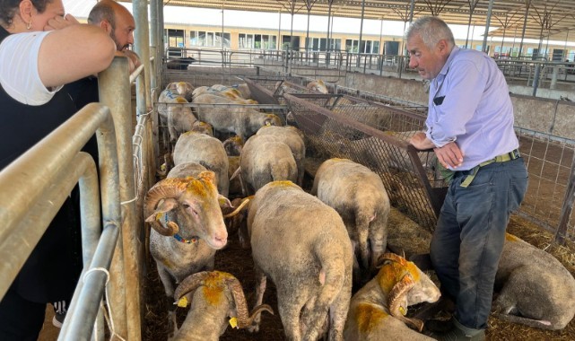 Edirne’de kurbanlık satış alanlarında sıkı denetim