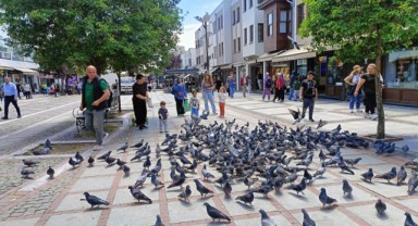 Edirne'de sıcaklık yükseliyor, sağanak geçişleri sürecek