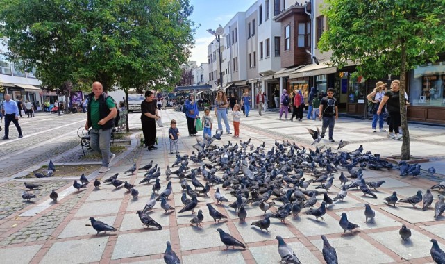 Edirne'de sıcaklık yükseliyor, sağanak geçişleri sürecek