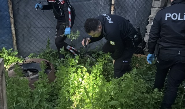 Evinde uyuşturucu serası kuran şahıs yakalandı