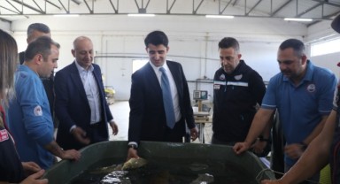 İpsala’da yeni sezon için balık üretimi yapılıyor