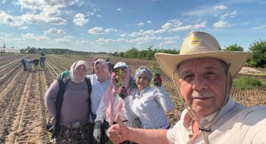 Karaağaç Acı Biberi için ekim sezonu başladı