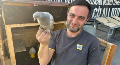 Tutkusunu işyerinde yaşatıyor