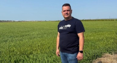 Üreticiler tarlada: çeltik sezonu için geri sayım